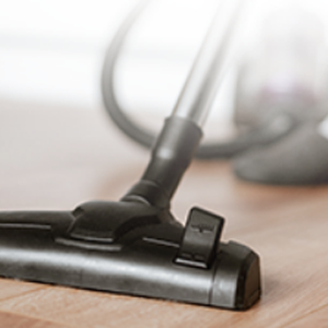 園林綠化公司的關(guān)鍵功能及其養(yǎng)護(hù)措施研究