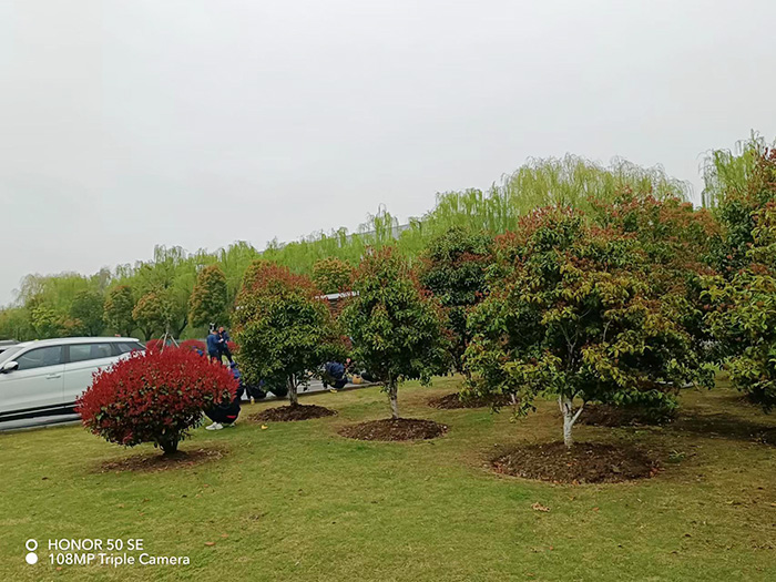 泰科電子科技（蘇州工業(yè)園區(qū)）有限公司   養(yǎng)護現場