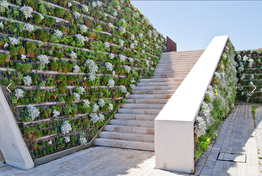 垂直綠化植物墻