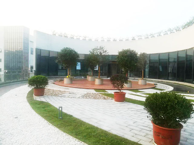 完工后的實景圖